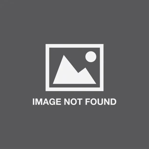 Gran Bretagna: Liz Truss si dimette. Cosa succede ora? E c’è chi rivuole Boris…